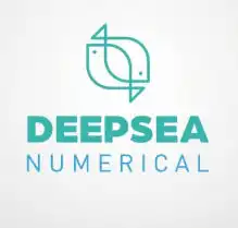 Deepsea Numerical logo